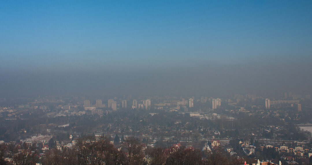 SMOG wawelski