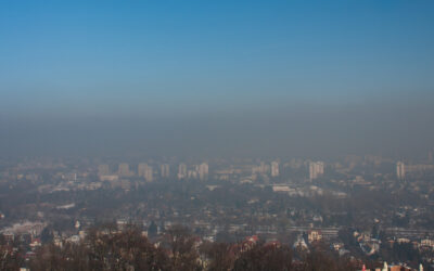 SMOG wawelski